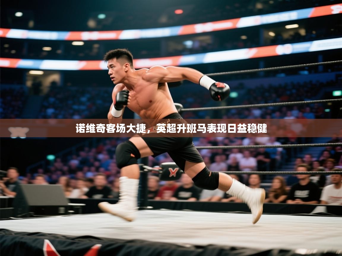 诺维奇客场大捷,英超升班马表现日益稳健 第1张