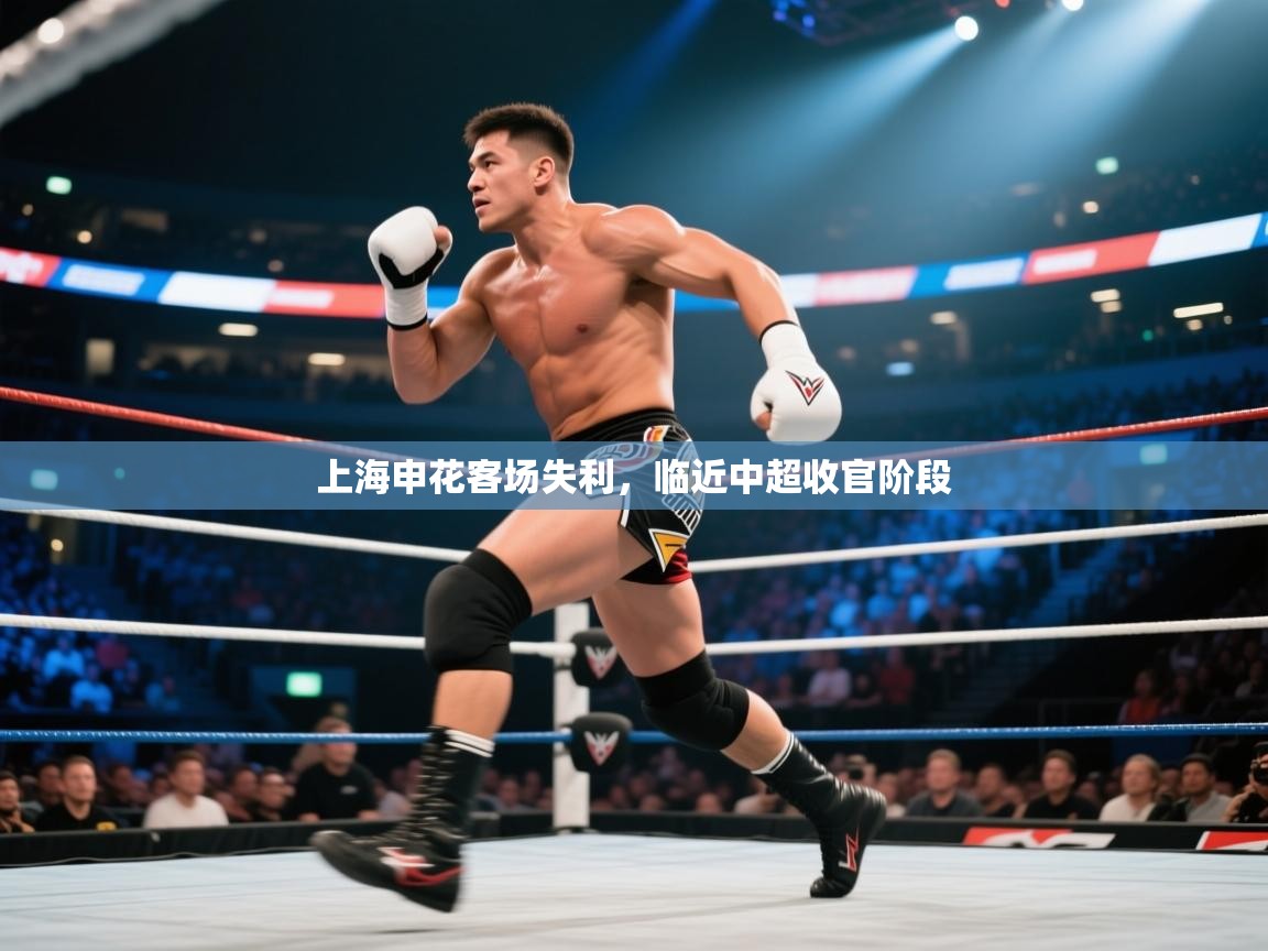 上海申花客场失利,临近中超收官阶段 第2张