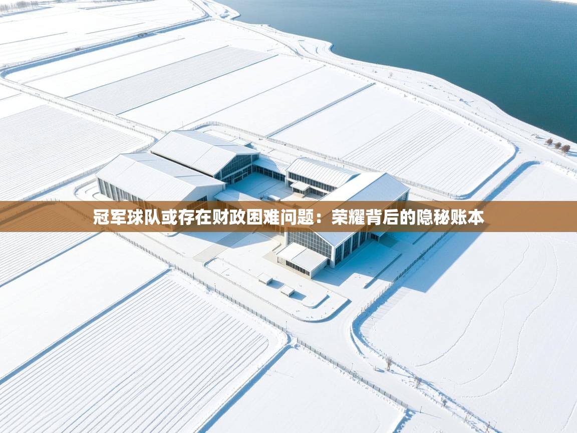 冠军球队或存在财政困难问题：荣耀背后的隐秘账本  第1张