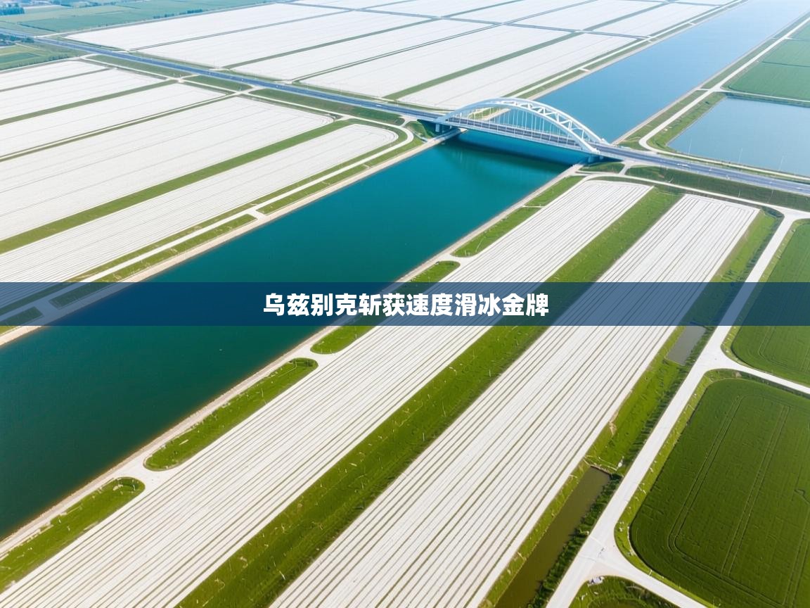 乌兹别克斩获速度滑冰金牌