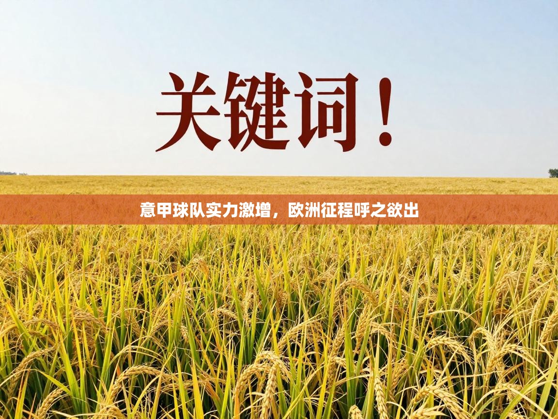 意甲球队实力激增,欧洲征程呼之欲出 第2张