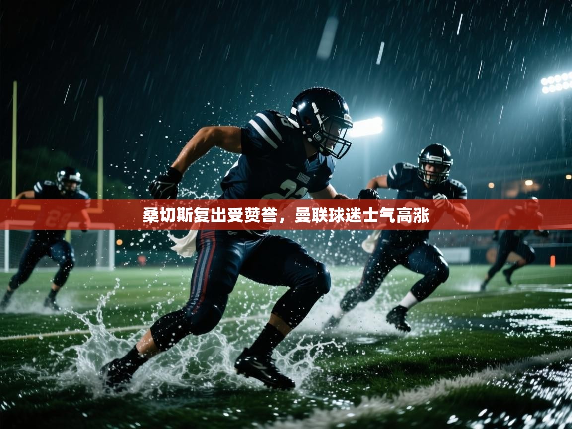 桑切斯复出受赞誉，曼联球迷士气高涨  第1张