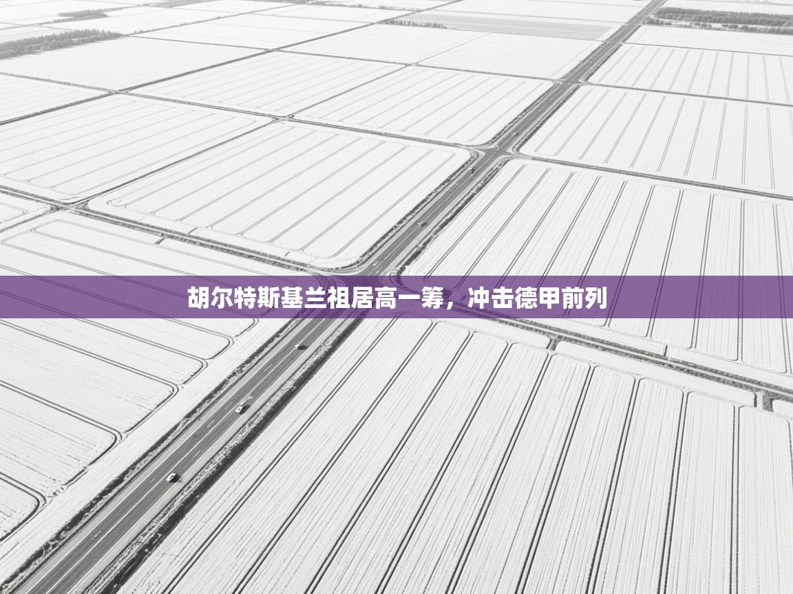 胡尔特斯基兰祖居高一筹,冲击德甲前列 第2张