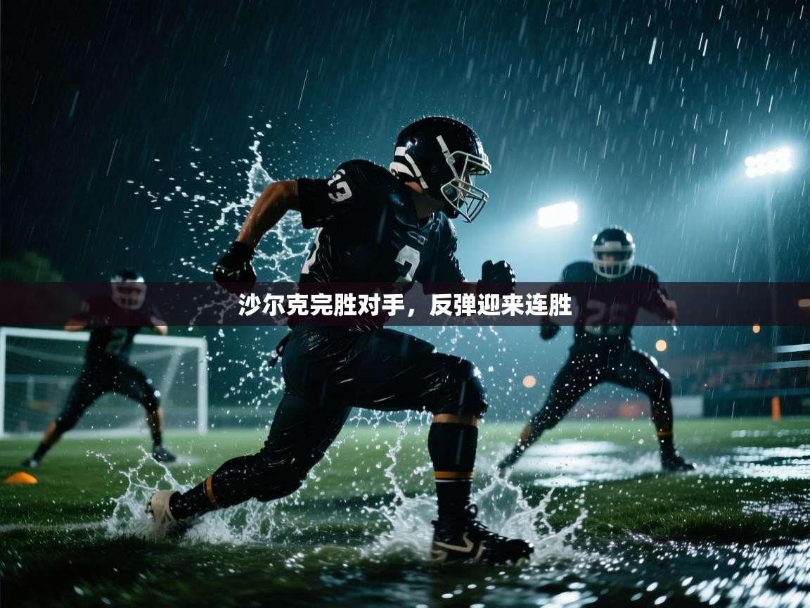 沙尔克完胜对手，反弹迎来连胜  第2张